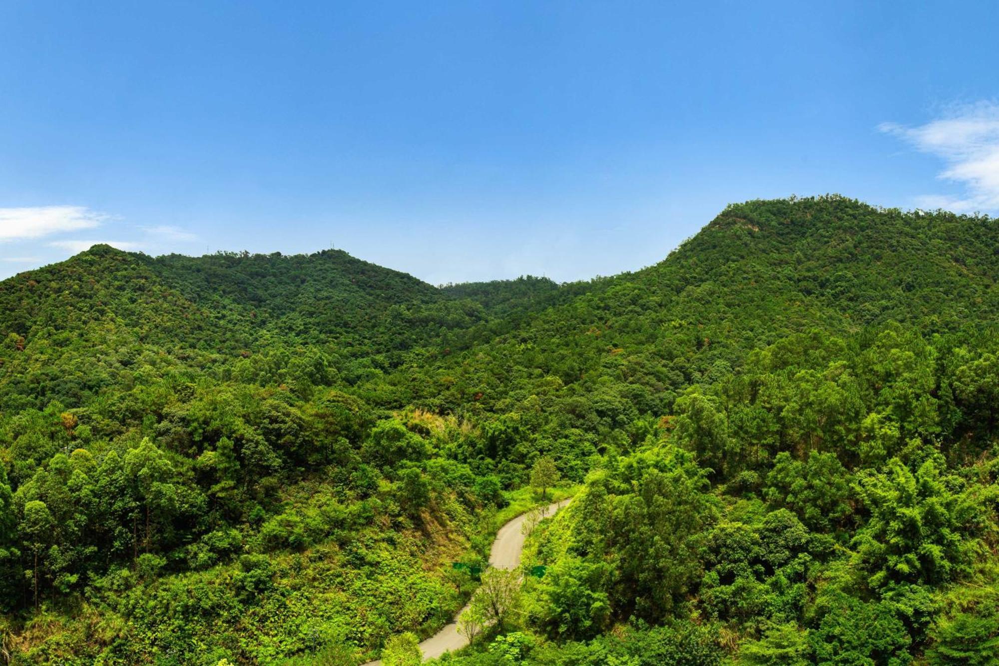 โฟร์ พอยต์ บาย เชอราตัน กวางตุ้ง เหอซาน Hotel Heshan  ภายนอก รูปภาพ